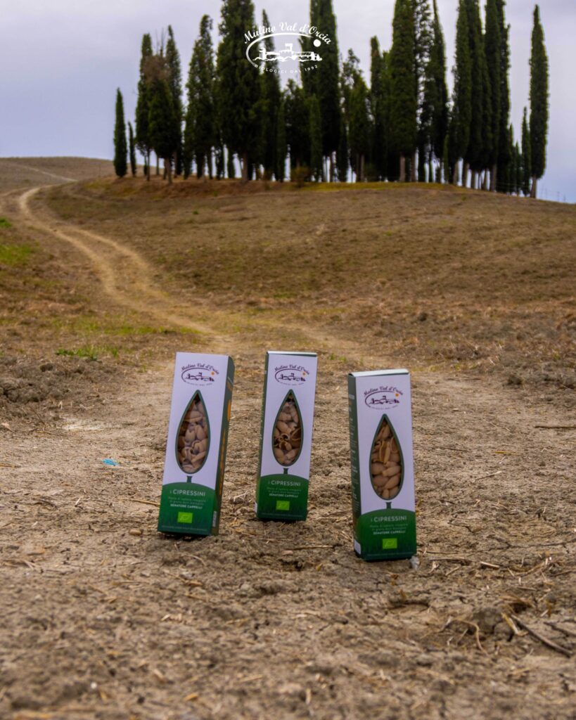 cipressini mulino val d'orcia